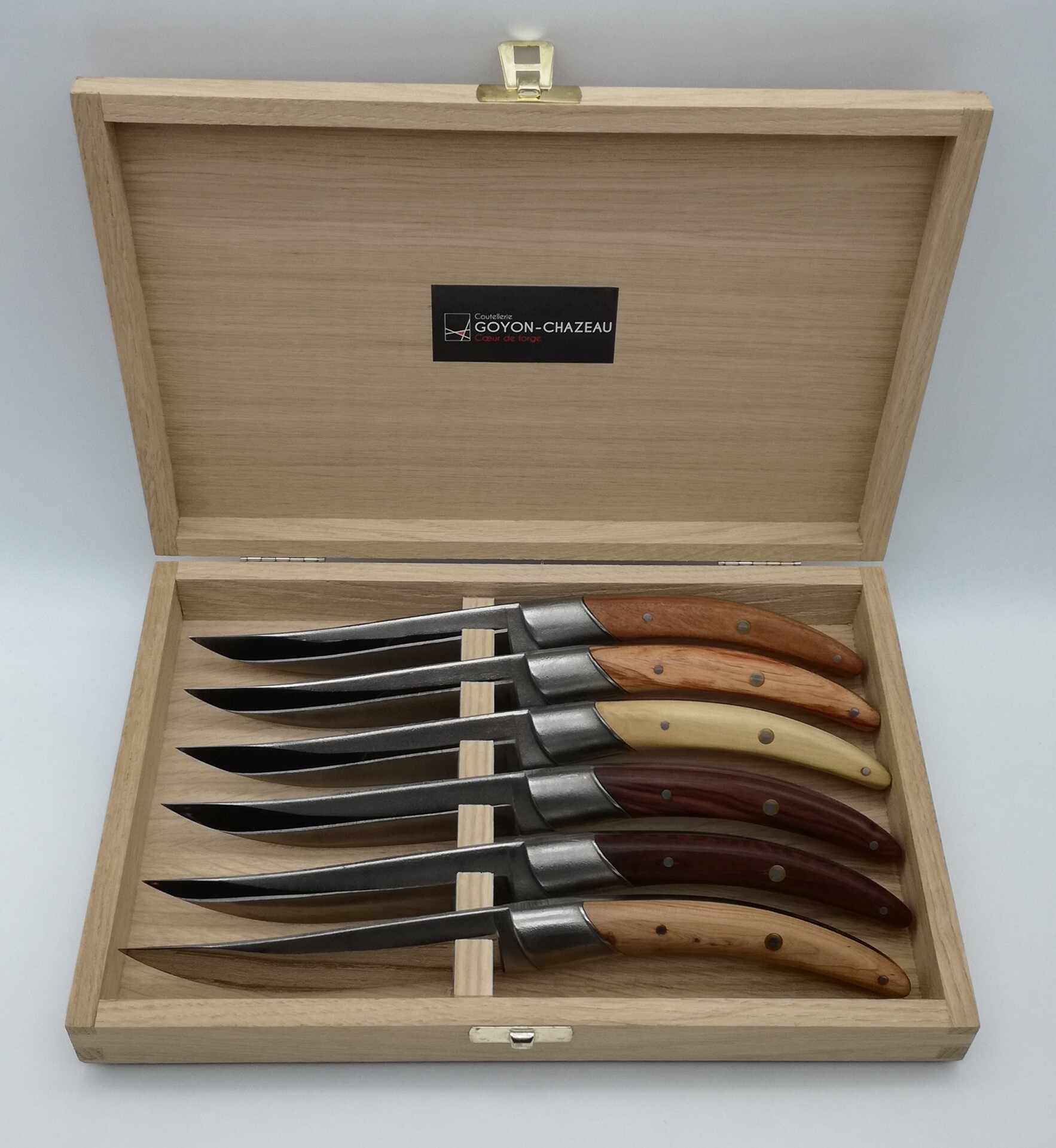 Goyon Chazeau Steakmesser Set 6tlg. Stylver Origines Brut Forge Mixed Woods