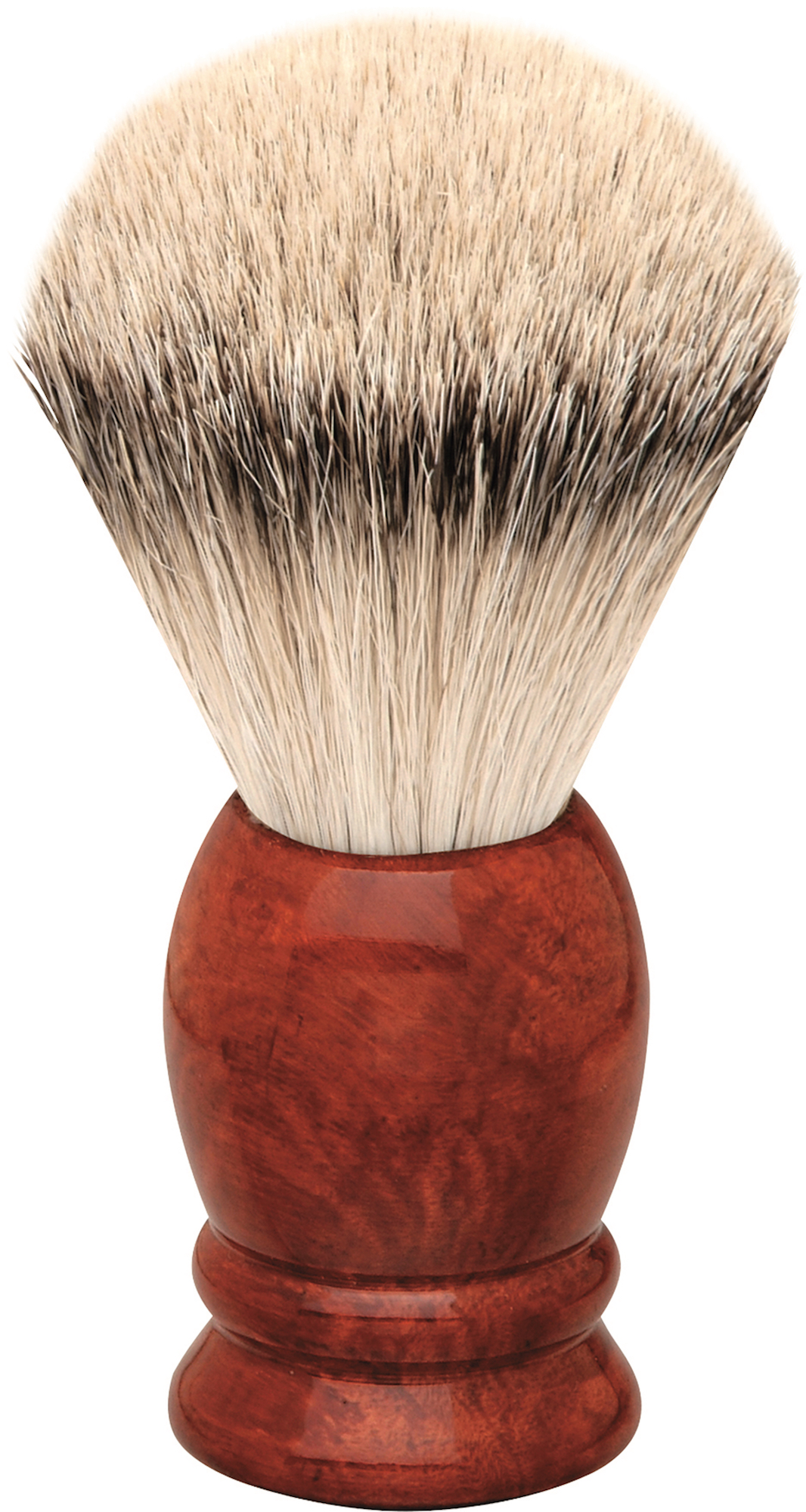 Becker Erbe Pinsel Silberspitz Wurzelholz